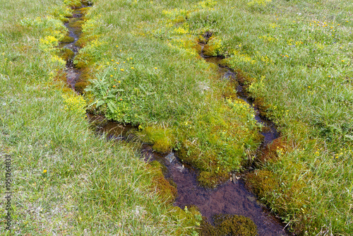A small stream flowing through a meadow in the mountains, Alps, Europe.