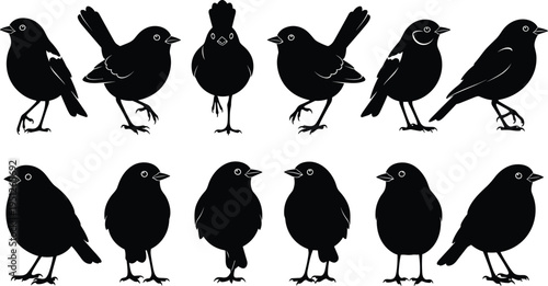 Bird silhouette set, small songbird poses collection, standing and perching positions, wildlife nature illustration, cute avian characters design concept