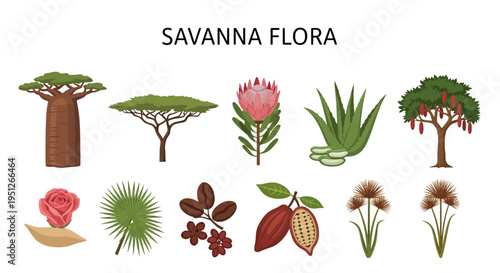 Illustration of various flora common to savanna ecosystems