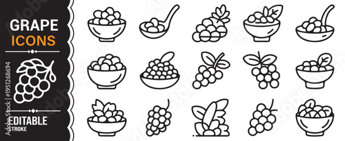 Grapes and vineyard symbols set for wine, farming and organic food design