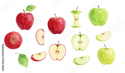 Watercolor-style fresh red apple and green apple illustration, ripe fruit with leaf／りんご　青りんご