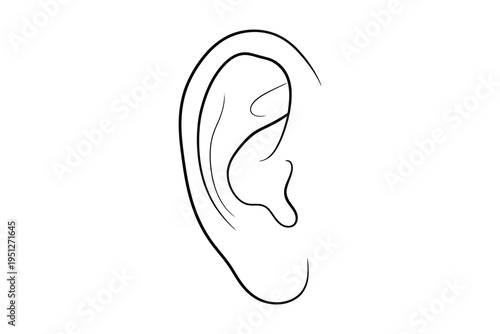 A detailed line drawing of a human ear from the side, showcasing its intricate anatomy and structure in a simple yet elegant illustration style.