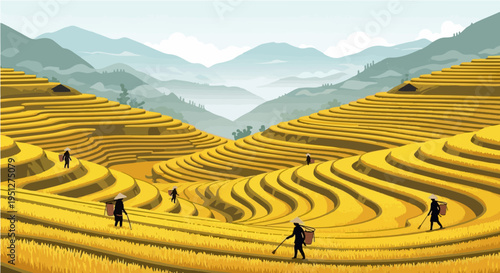 Vibrant vector cartoon illustration of golden rice terraces with farmers harvesting in misty mountain valley