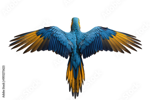 Blue and yellow macaw flying, wings outstretched, showing freedom and tropical wildlife, isolated on transparent background
