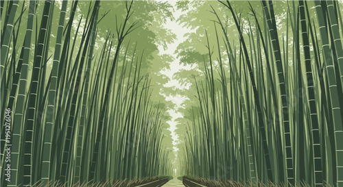 Peaceful vector cartoon illustration of bamboo forest pathway lined with tall green bamboo stalks