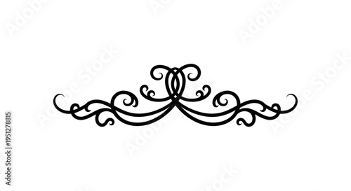Black and White Swirl Flourish Ornament, Decorative Vector Element