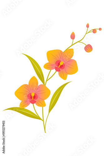 Elegant orange orchid flower branch with buds and green leaves. Flat botanical illustration on light background.