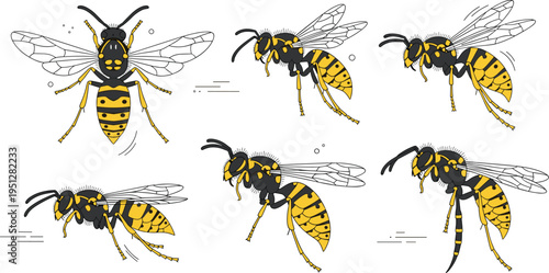 Yellow Jacket Wasp Vector Set Featuring Flying Poses, Striped Body Patterns, and Detailed Insect Anatomy for Entomology Study, Wildlife Illustration, and Design Projects.