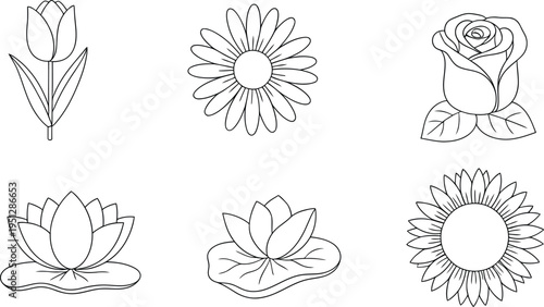 Hand drawn flower illustrations collection with tulip daisy rose water lily sunflower