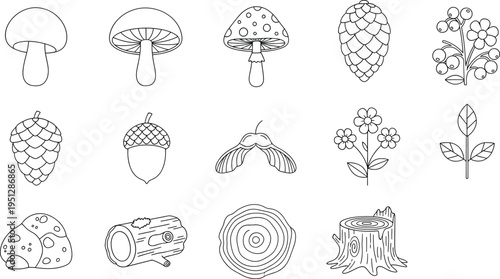 Forest nature outline icons set with mushrooms berries pinecone acorn leaves