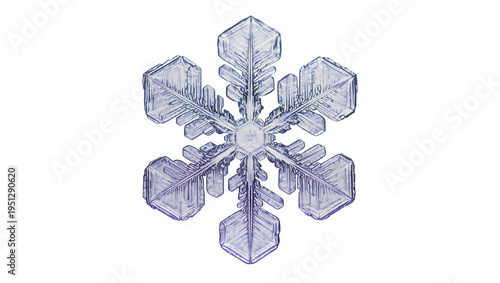 Obraz na plátne Isolated beautiful six-sided dendrite snowflake displaying complex and unique icy crystalline structure