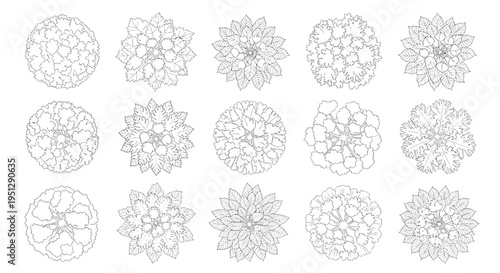 Tree Top View Outline Vector Collection – Diverse Foliage Symbols for Architectural Landscape Plans