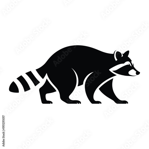 Raccoon walking side view Vector, Silhouette, Illustration