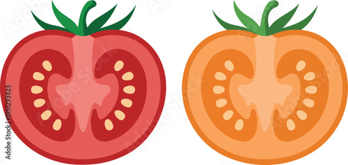 Tomato Slice Cross Section Vector Illustration Colorful Fresh Vegetable Cut Food Ingredient Icon Flat Cartoon Design Style