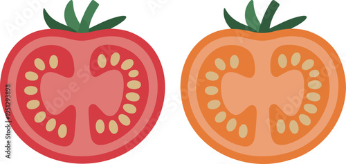 Tomato Slice Cross Section Vector Illustration Colorful Fresh Vegetable Cut Food Ingredient Icon Flat Cartoon Design Style