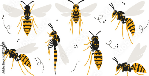 Wasp Insect Illustration Set Featuring Flying, Crawling, and Side View Poses of Striped Stinging Bug with Wings and Antennae.