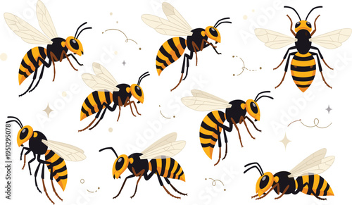 Hornet Wasp Insect Illustration Set Featuring Flying, Crawling, and Different Angles of Striped Stinging Insect with Wings and Antennae.
