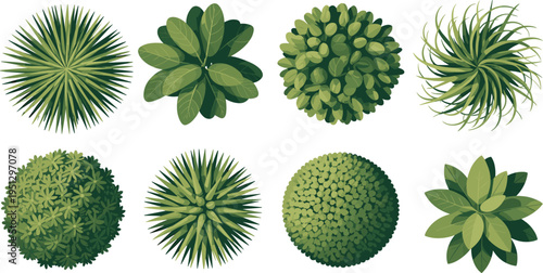 Top-down illustration of eight diverse green plants and shrubs, radial foliage patterns for landscape architecture, garden planning, botanical studies, eco-friendly decoration, and vector artwork