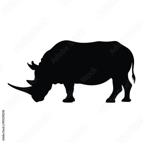 Rhinoceros grazing Vector, Silhouette, Illustration