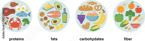 Cartoon nutrition illustration with proteins, fats, carbohydrates, and fiber food categories for health and diet design