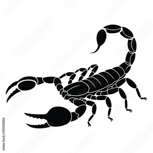 Scorpion side view with tail curved Vector, Silhouette, Illustration
