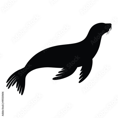 Sea lion swimming side view Vector, Silhouette, Illustration
