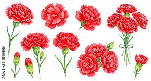 赤いカーネーションの花 水彩風手書きイラストセット 母の日素材