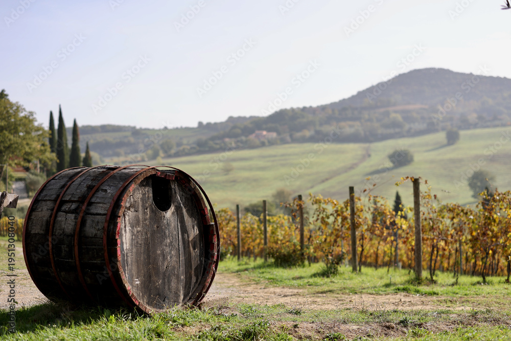 Fototapeta premium Sunny autumn day in Montepulciano, Province of Siena, Tuscany, Italy. A rustic wooden wine barrel stands beside vineyards with rolling hills.