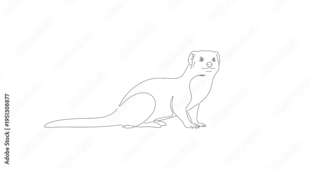 Fototapeta premium Minimalist line drawing of a weasel against a white background for design