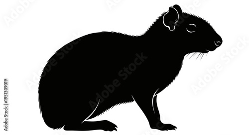 Black silhouette of a guinea pig isolated on white background profile view