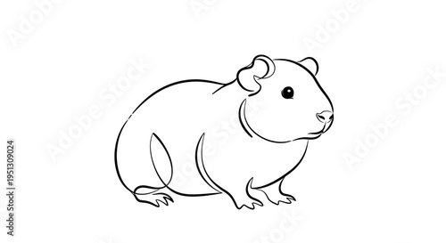 Line drawing of a guinea pig against a clean white background