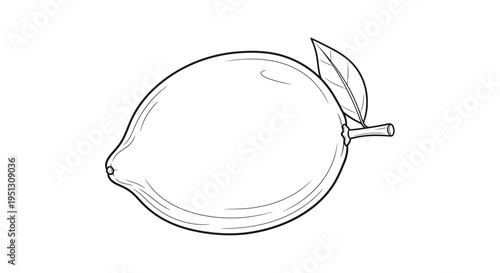 Black and white lemon illustration with leaf isolated on white background