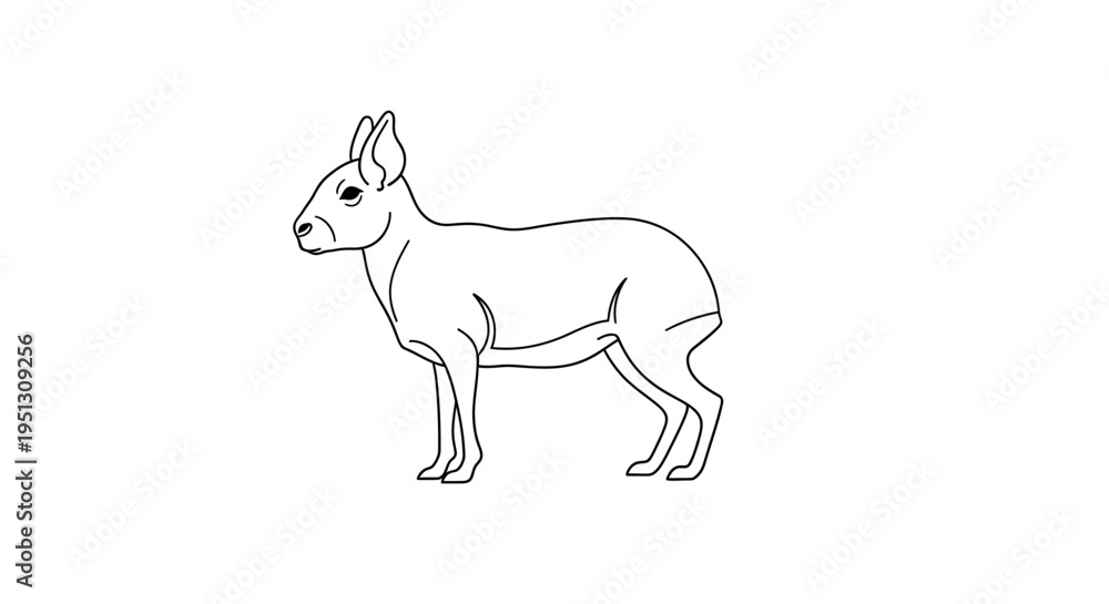 Fototapeta premium Outline illustration of a mara showing profile on a clean white background