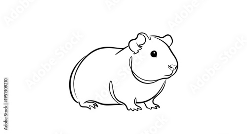 Line drawing of a guinea pig on white background for various design projects