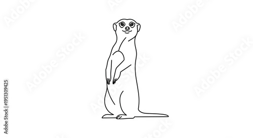 Cartoon meerkat standing upright looking forward with simple line art