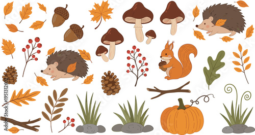 Autumn forest elements with hedgehog squirrel mushrooms leaves acorns and pumpkin cartoon vector illustration set