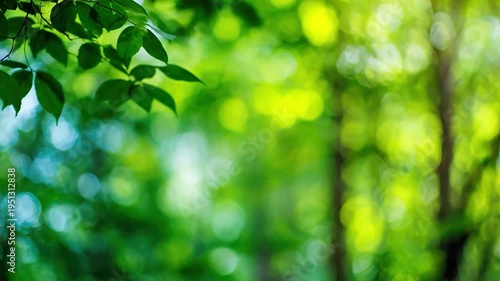 Vibrant green leaves and sunlit bokeh create a beautiful natural forest