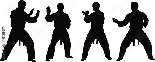 Silhouette of a Martial Artist in Action: A dynamic and evocative silhouette captures the essence of a martial artist executing various fighting stances.