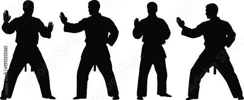 Karate Silhouette Series: Dynamic silhouettes of a martial artist showcasing the power, precision, and discipline inherent in karate techniques.