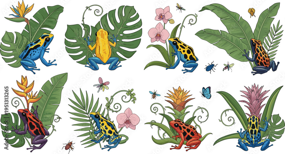 Obraz premium Colorful poison dart frogs with tropical leaves flowers insects jungle wildlife hand drawn vector illustration set