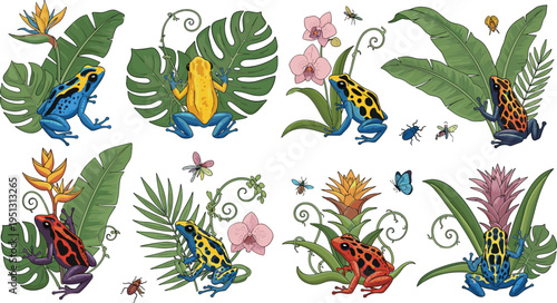 Colorful poison dart frogs with tropical leaves flowers insects jungle wildlife hand drawn vector illustration set