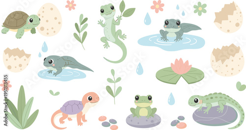 Cute amphibians and reptiles with eggs frogs salamanders turtles and plants cartoon vector illustration set