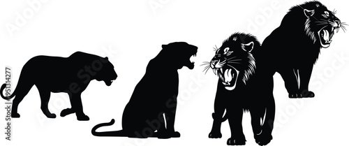 Silhouette sequence of big cats evolving into roaring lion with mane, artistic progression illustration symbolizing growth, transformation, wildlife strength, and stock design inspiration