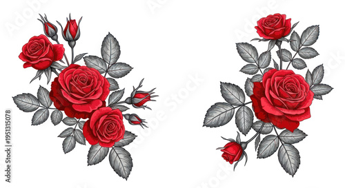 Red Roses Bouquet Arrangement, Floral Design, Isolated on White Background