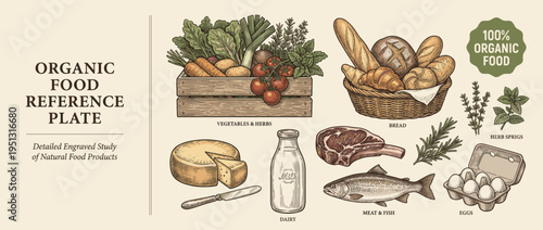 Illustration of organic foods including vegetables, meat, eggs, and dairy on a reference plate showing natural food products