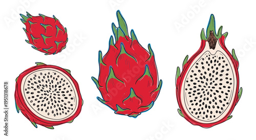 Vibrant Dragon Fruit Collection: Whole and Halved Exotic Fruits