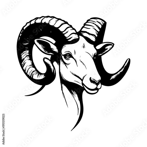 Logotipo con dibujo sencillo con líneas de la cabeza de un carnero vista de perspectiva