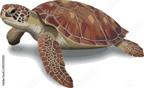 Pixel Art Sea Turtle Brown Isolated Object Vector Graphic