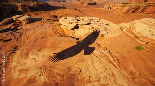 Giant eagle shadow flying over red rock canyon formation