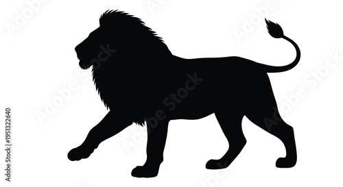 Majestic african lion walking in profile a striking black silhouette